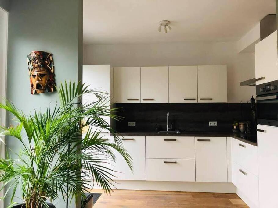Compleet Huis In Nijmegen Lägenhet Exteriör bild
